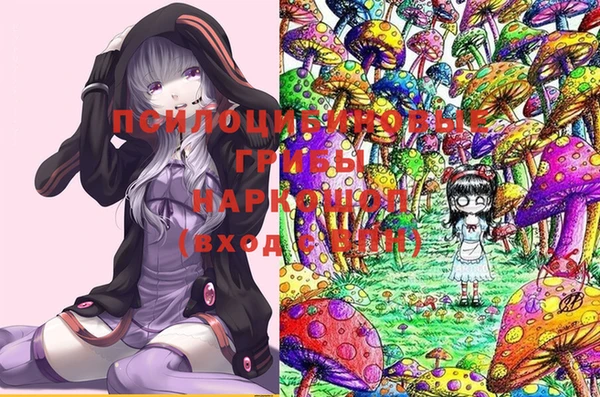 спайс Аша