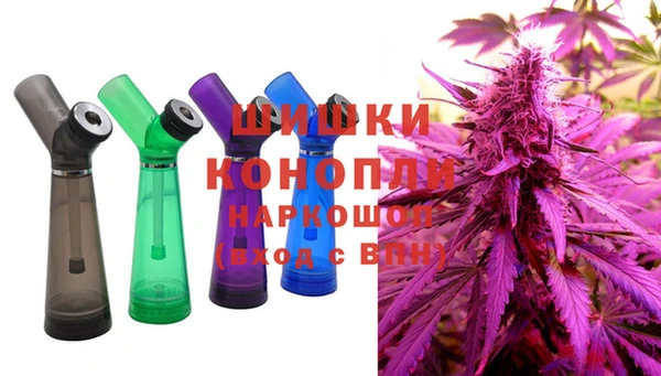 спайс Аша