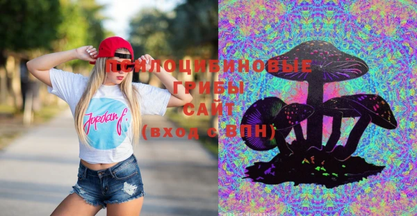 спайс Аша
